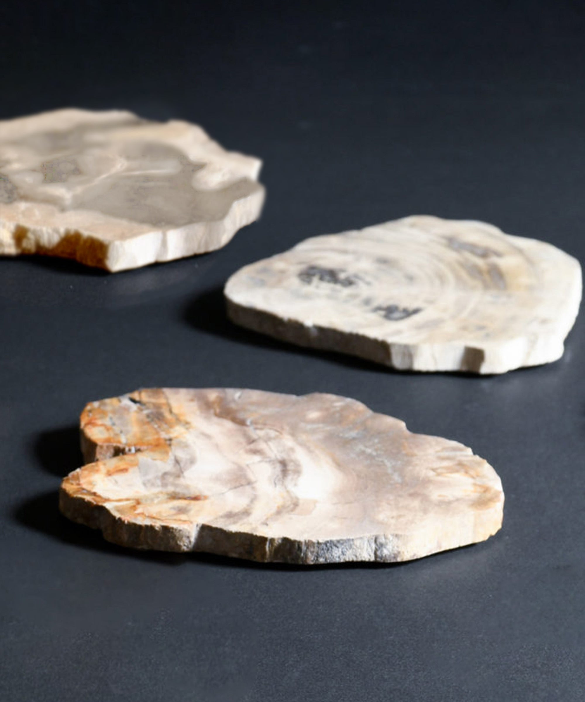 Gray ※個体差があります