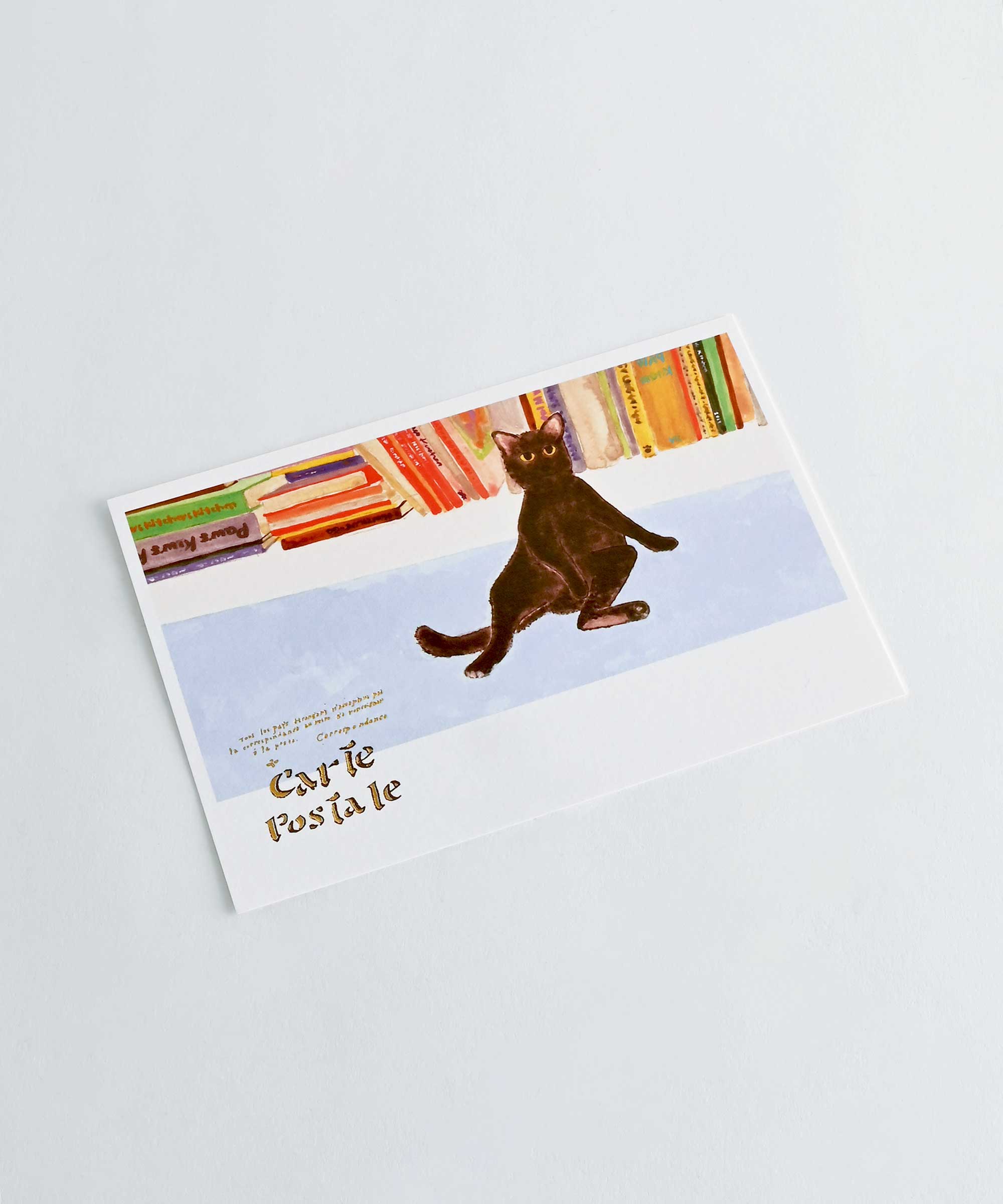 ポストカード グリーティング 「台湾のネコ」 – BASIC AND ACCENT