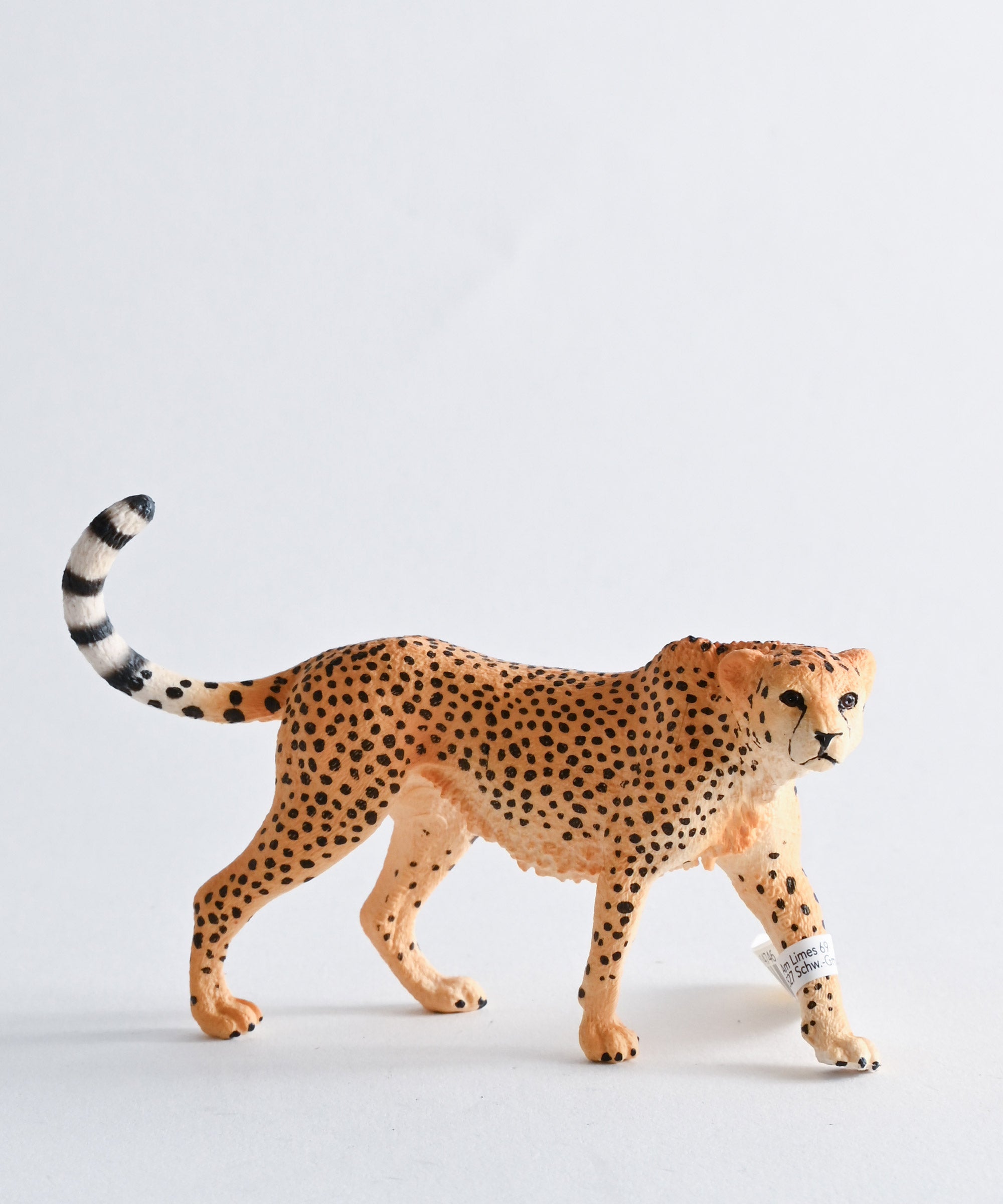 Schleich/シュライヒ】動物フィギュア チーター メス – BASIC AND ACCENT ONLINE STORE