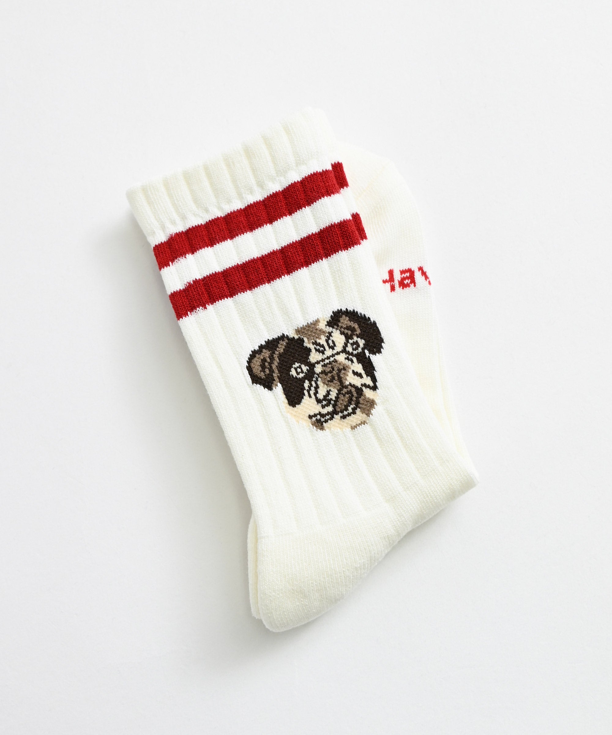 ROSTER SOX】DOG ソックス – BASIC AND ACCENT ONLINE STORE