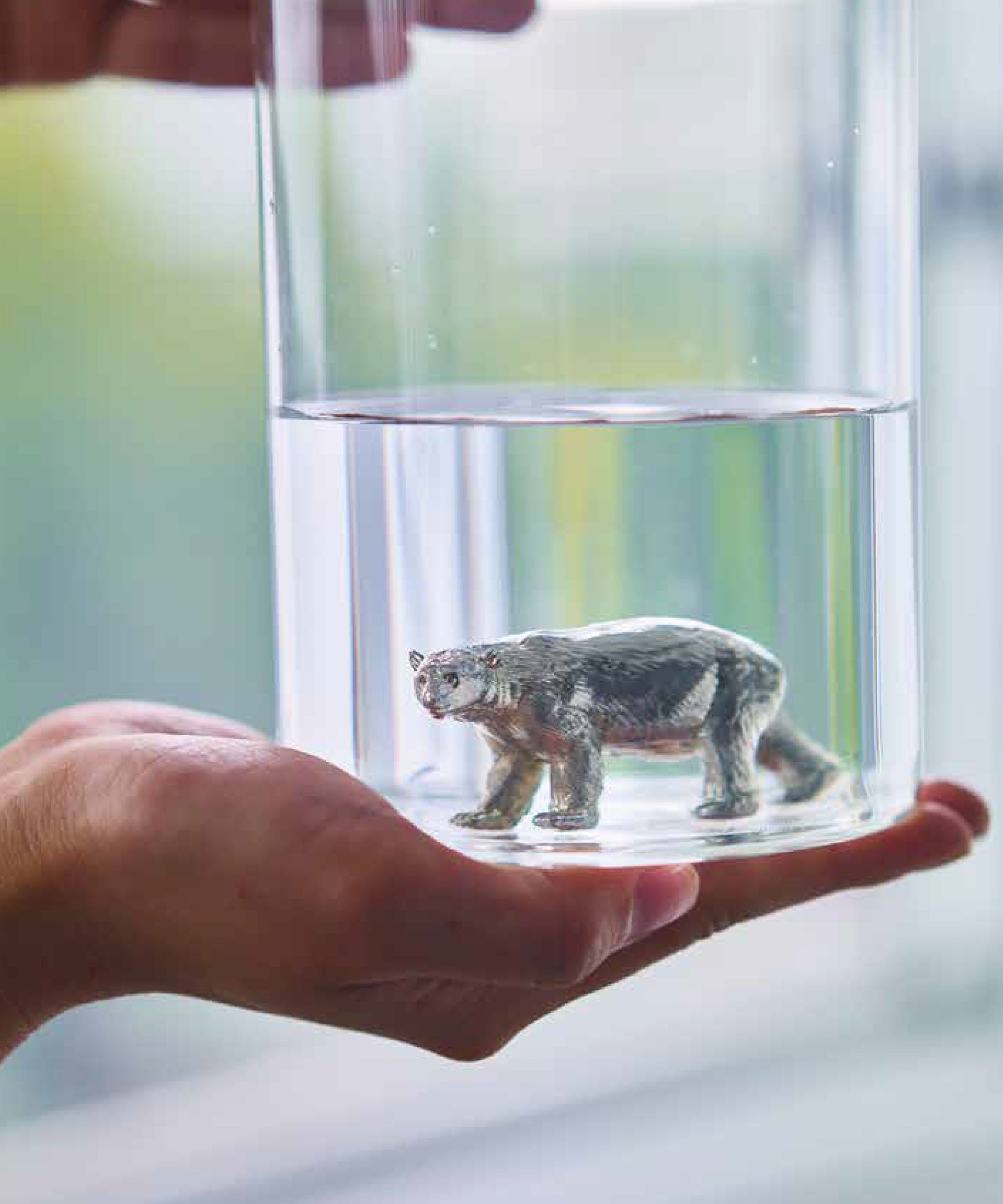 SUZU ZOO ホッキョクグマ – BASIC AND ACCENT ONLINE STORE