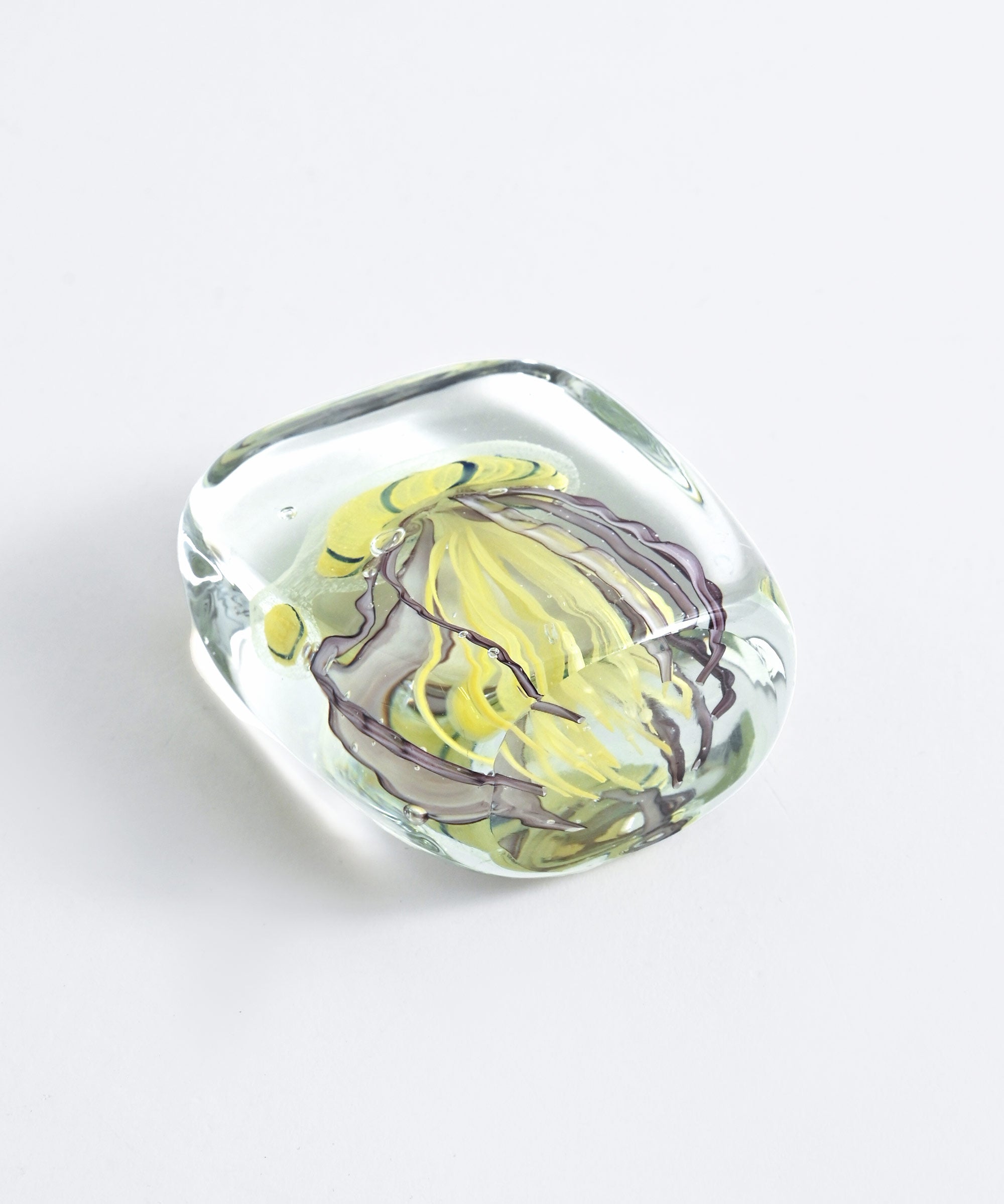 HERE by DETAIL】Jellyfish Twisted Leg 