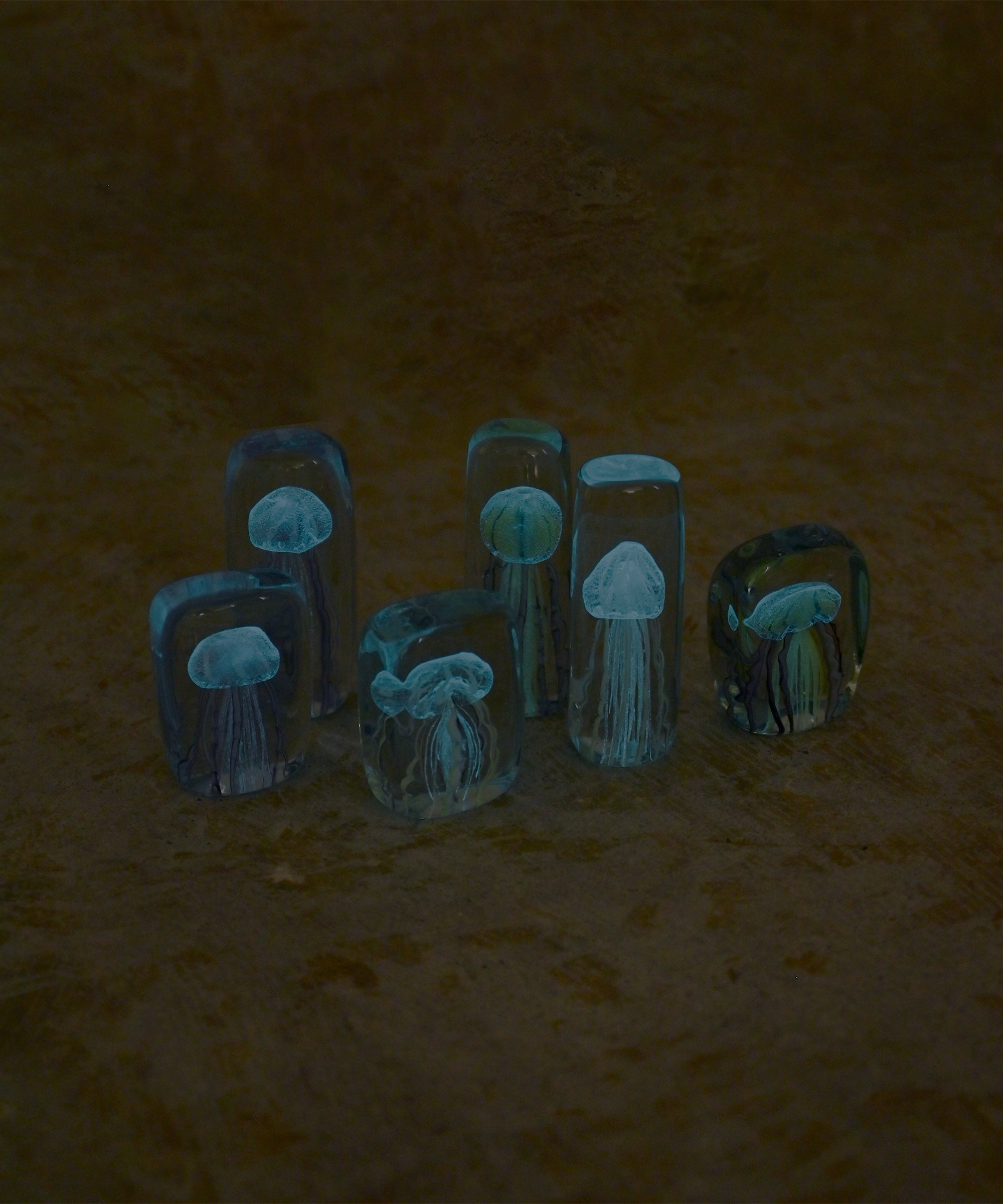 HERE by DETAIL】Jellyfish Twisted Leg 
