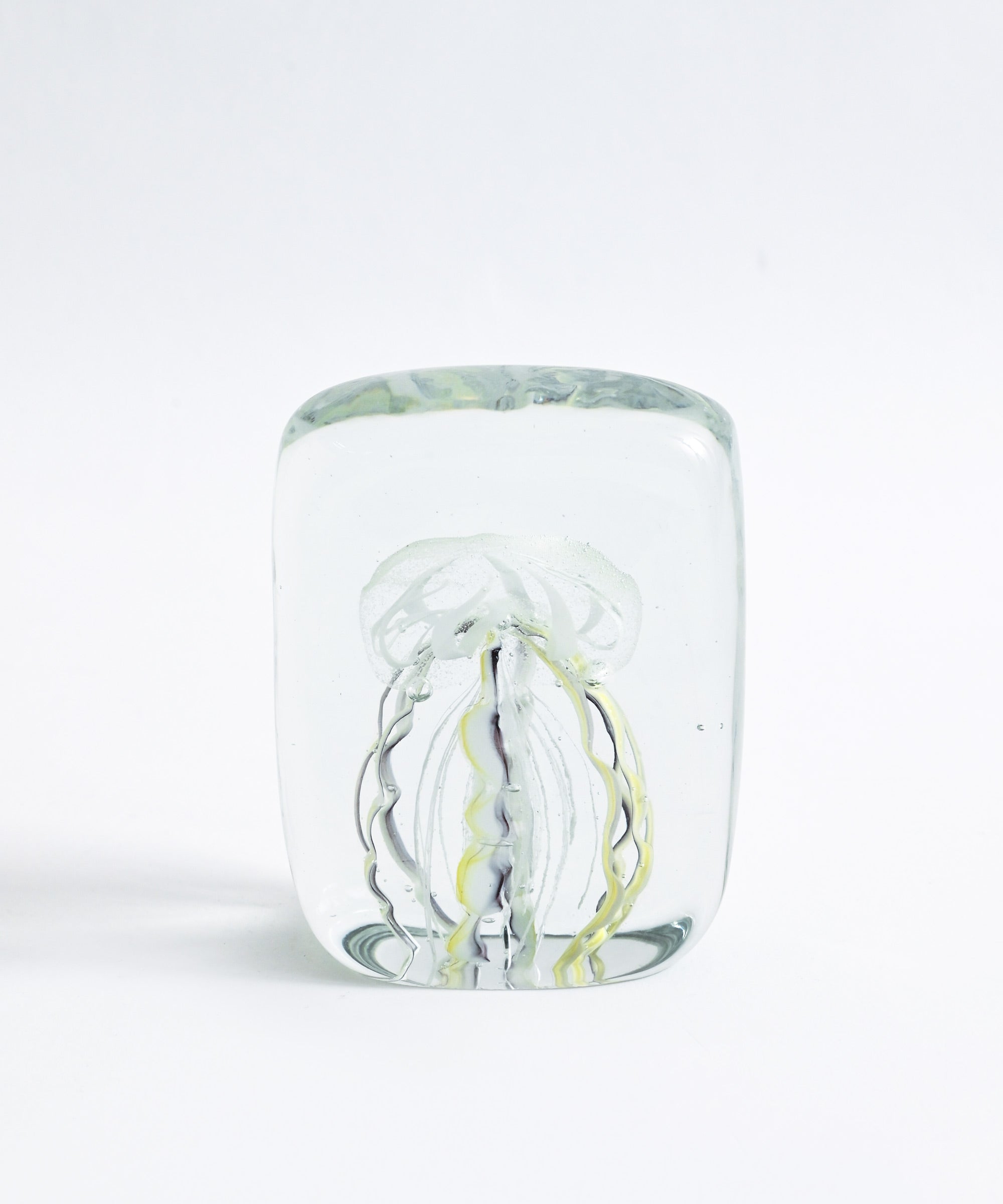 HERE by DETAIL】Jellyfish Twisted Leg 