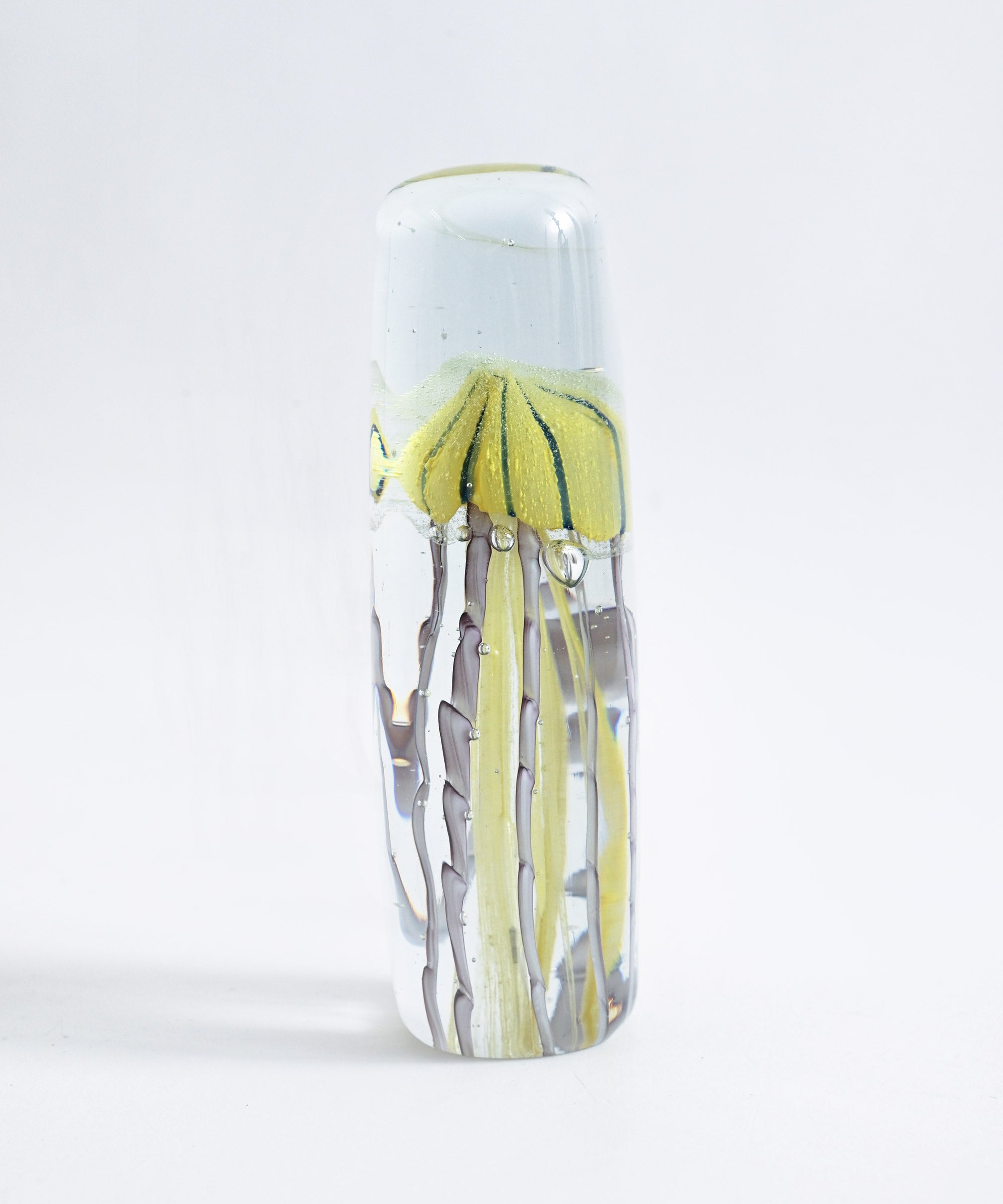 plastic tree「Jelly Fish Breed」ファンクラブ限定セール