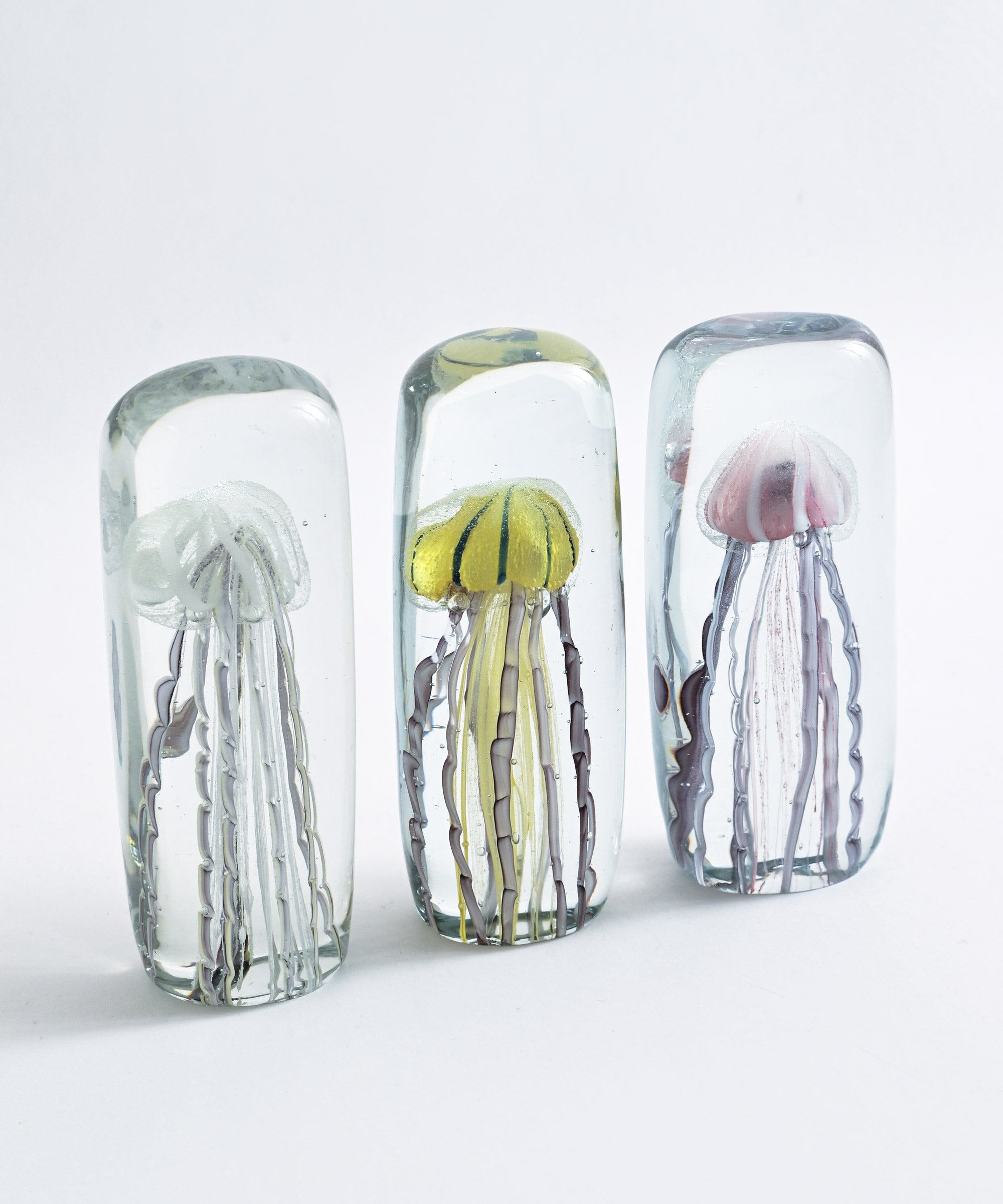 HERE by DETAIL】Jellyfish Twisted Leg 