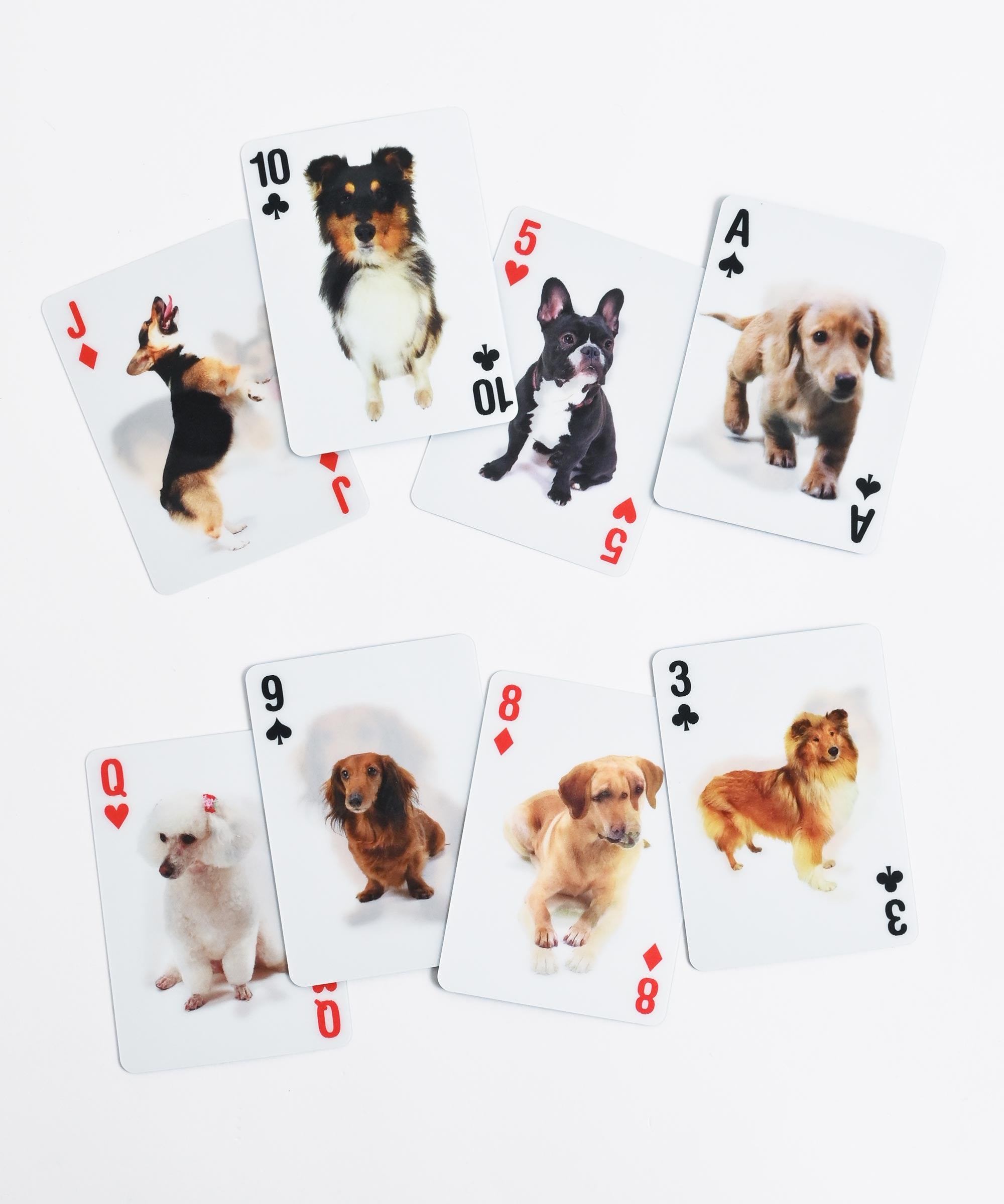 3D Dog Cards 犬のトランプ – BASIC AND ACCENT ONLINE STORE