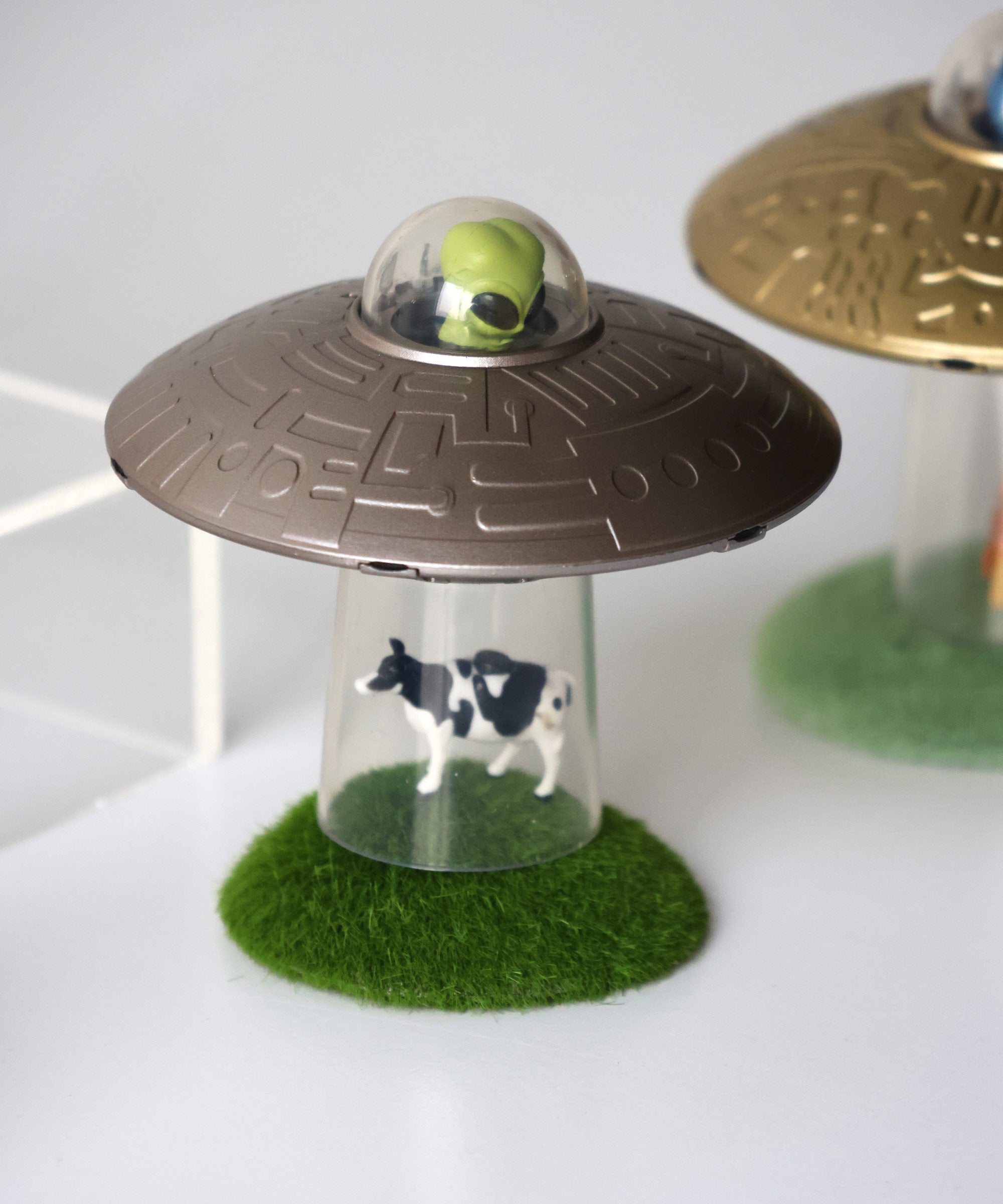 Hachette】Toy & Book 