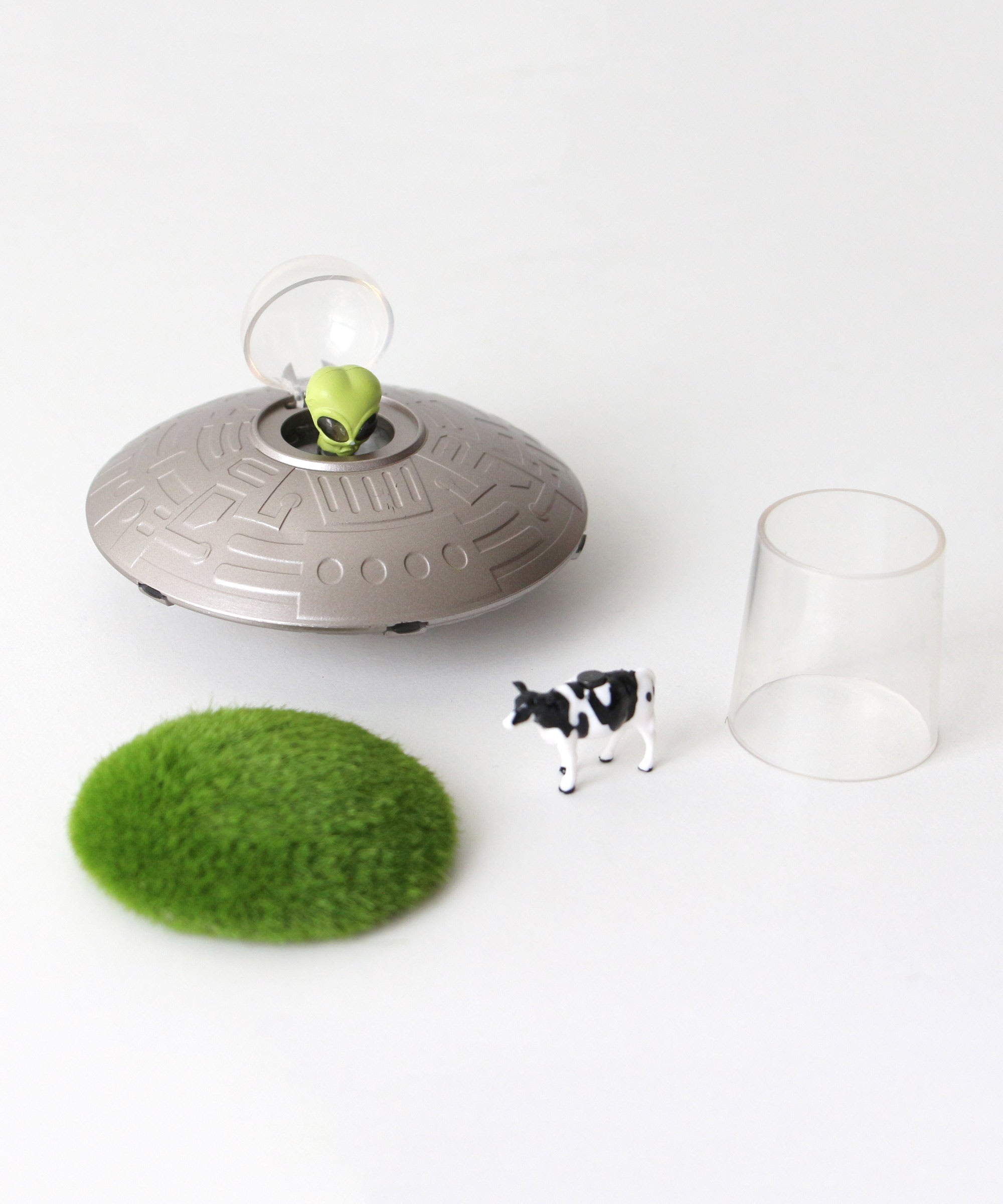 Hachette】Toy & Book 