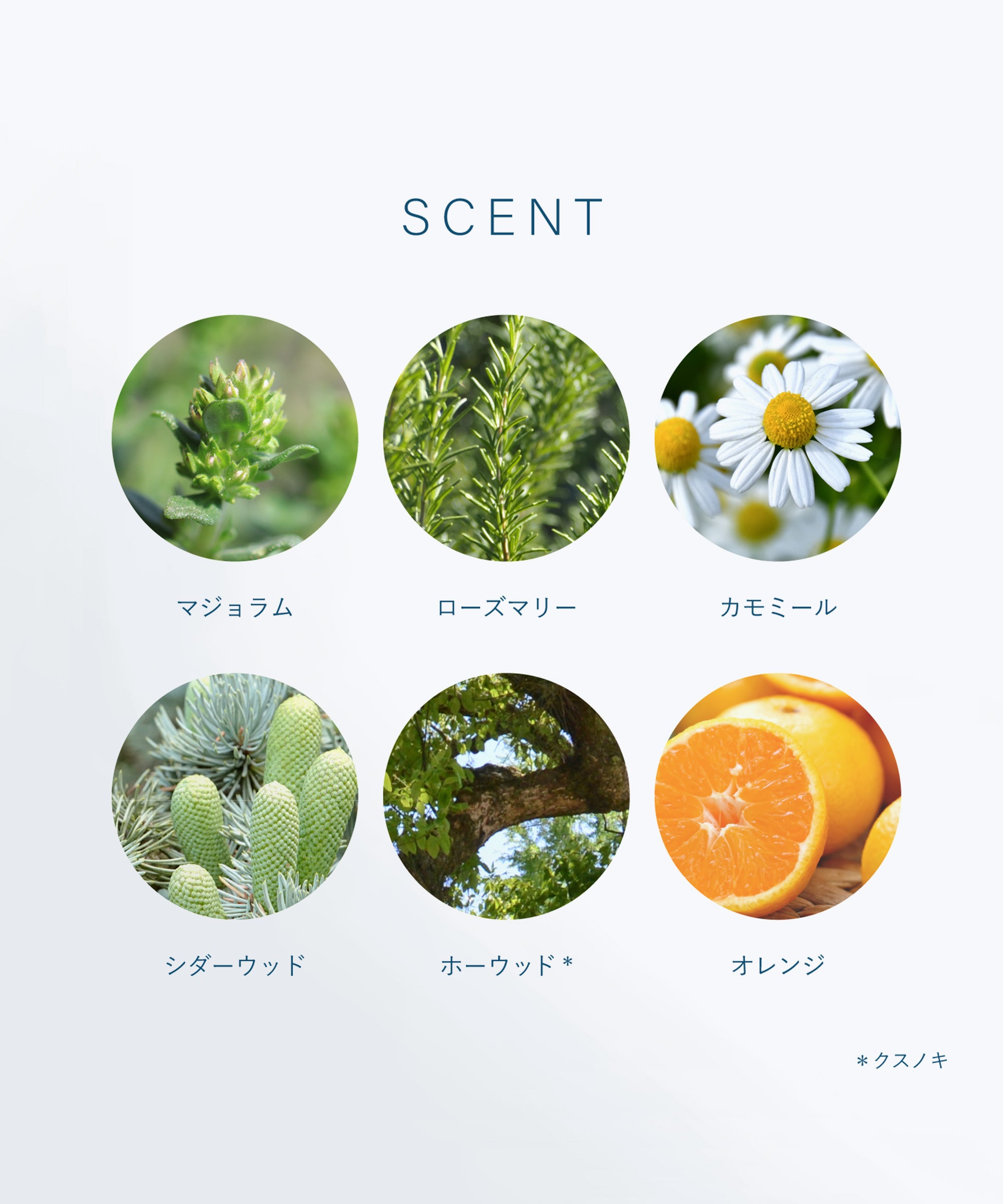 OSAJI】秋冬限定 ハンド&ボディミルク Utsuri – BASIC AND