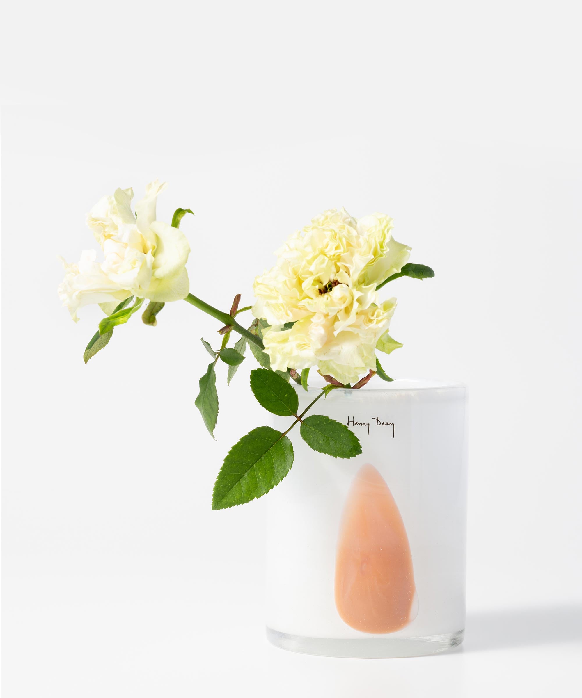 Henry Dean｜ヘンリーディーン – BASIC AND ACCENT ONLINE STORE